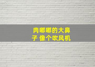 肉嘟嘟的大鼻子 像个吹风机